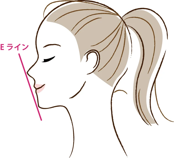 Eライン/フェイスラインの画像