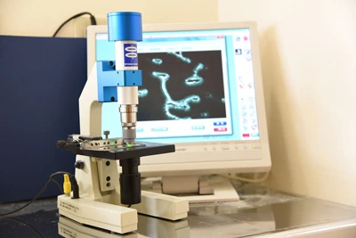 歯周病の原因菌を観察できる位相差顕微鏡